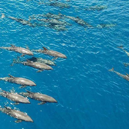 Atauro Dive Resort Beloi Zewnętrze zdjęcie