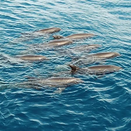 Atauro Dive Resort Beloi Zewnętrze zdjęcie