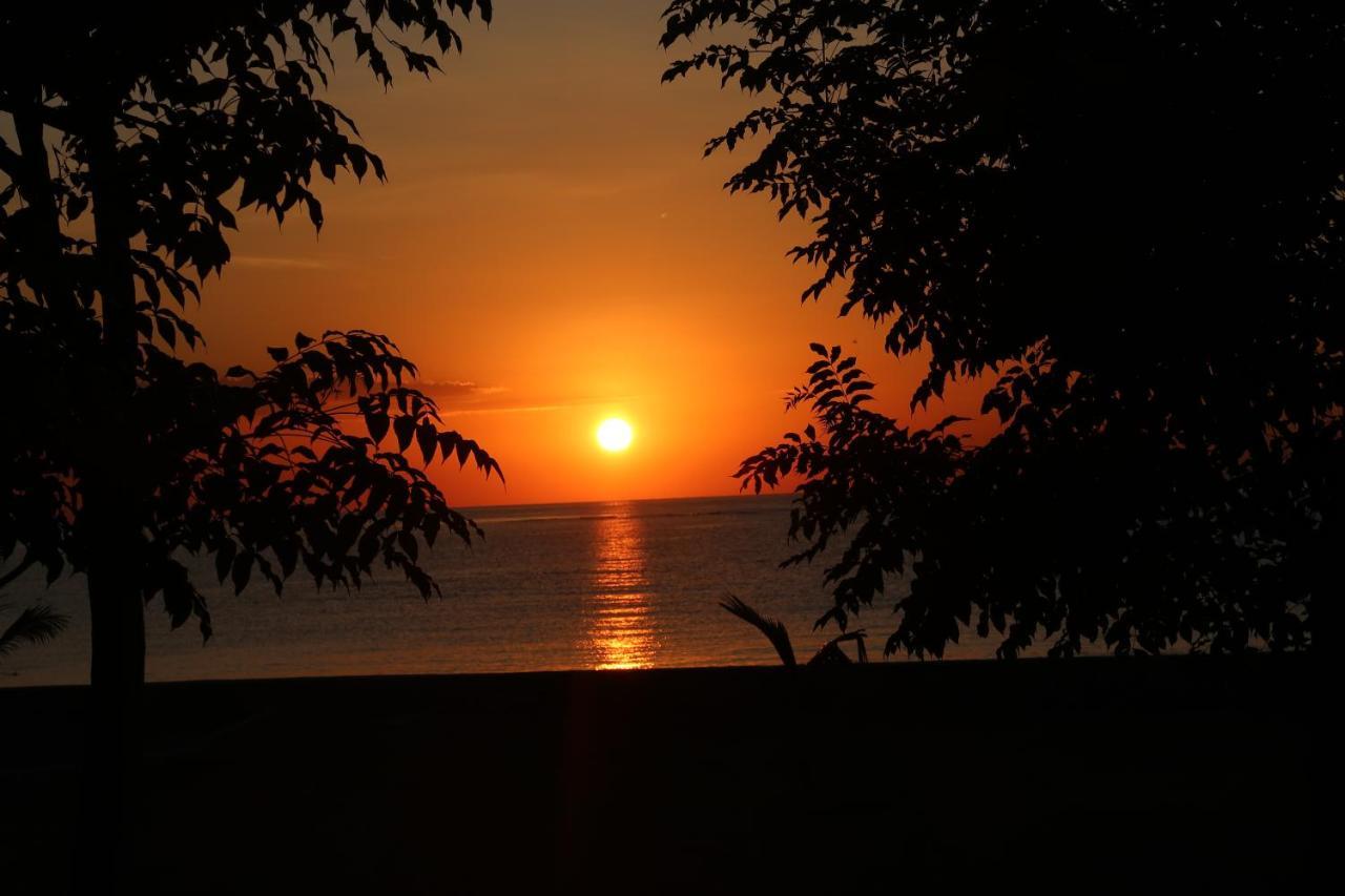 Atauro Dive Resort Beloi Zewnętrze zdjęcie