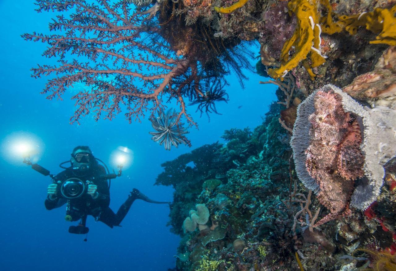 Atauro Dive Resort Beloi Zewnętrze zdjęcie