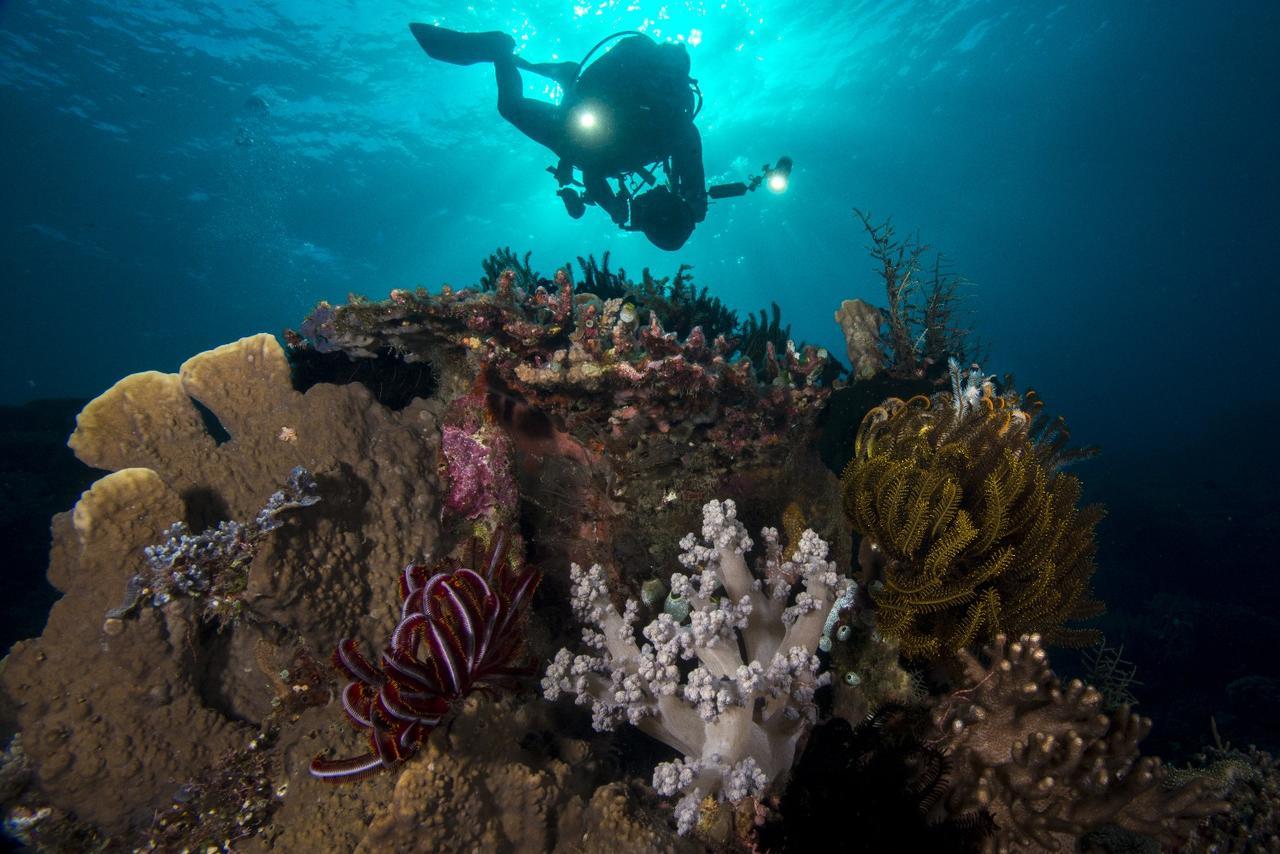 Atauro Dive Resort Beloi Zewnętrze zdjęcie